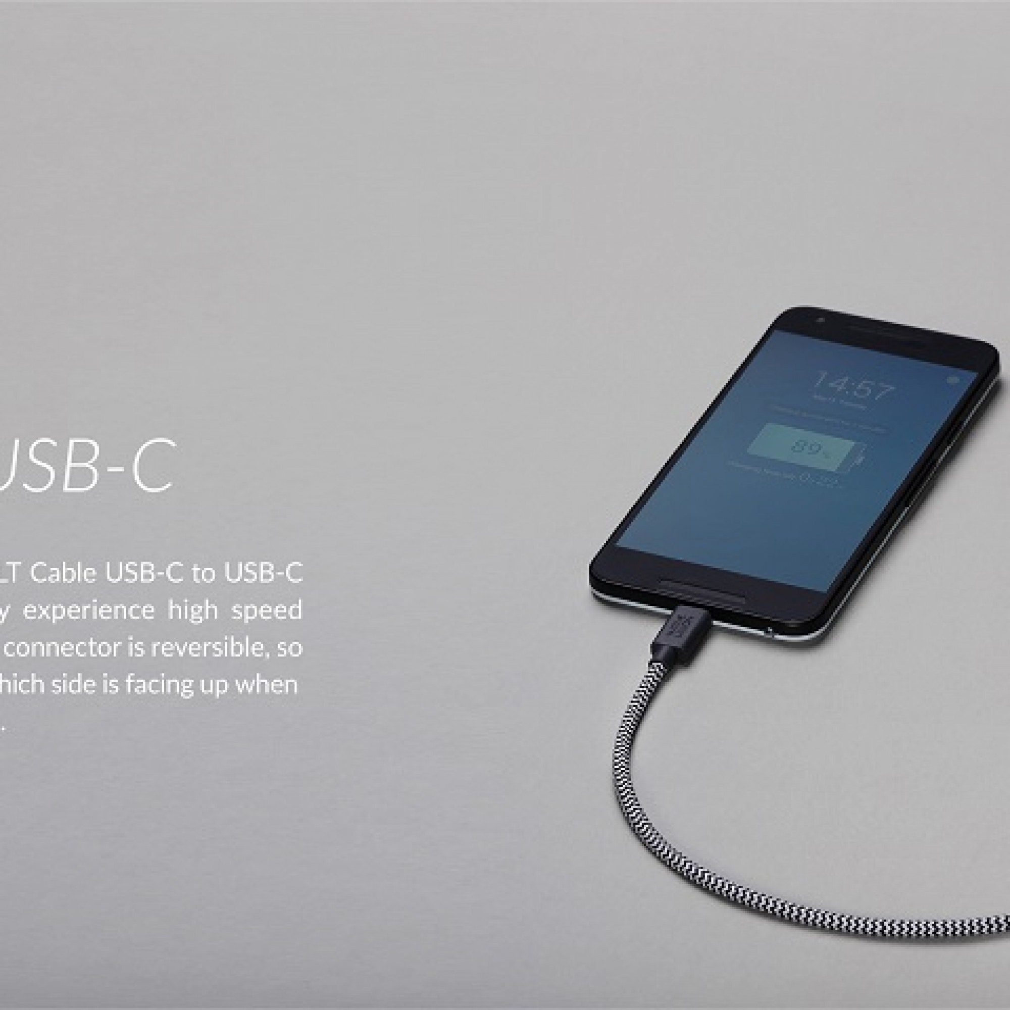 Кабель Native Union Belt Cable Type-C (2.4M) V2 Zebra